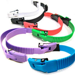 Razors / Remz Buckle set