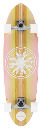 Cruisers Skateboards